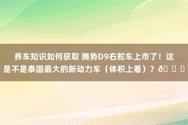 养车知识如何获取 腾势D9右舵车上市了！这是不是泰国最大的新动力车（体积上看）？😂