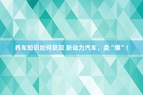 养车知识如何获取 新动力汽车，卖“爆”！