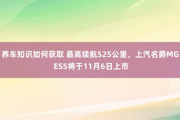 养车知识如何获取 最高续航525公里，上汽名爵MG ES5将于11月6日上市