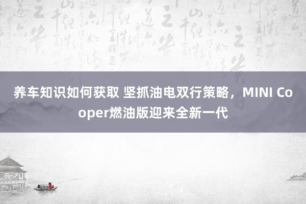 养车知识如何获取 坚抓油电双行策略，MINI Cooper燃油版迎来全新一代