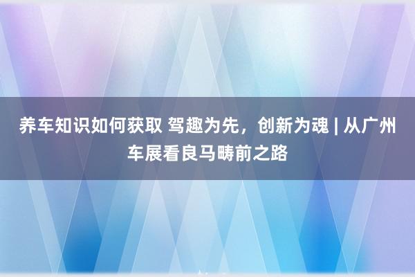 养车知识如何获取 驾趣为先，创新为魂 | 从广州车展看良马畴前之路