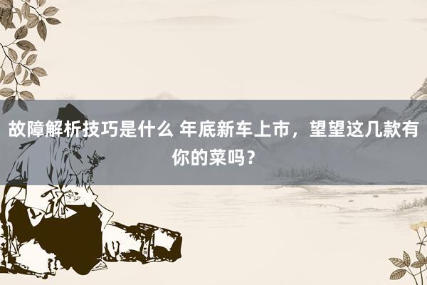 故障解析技巧是什么 年底新车上市，望望这几款有你的菜吗？