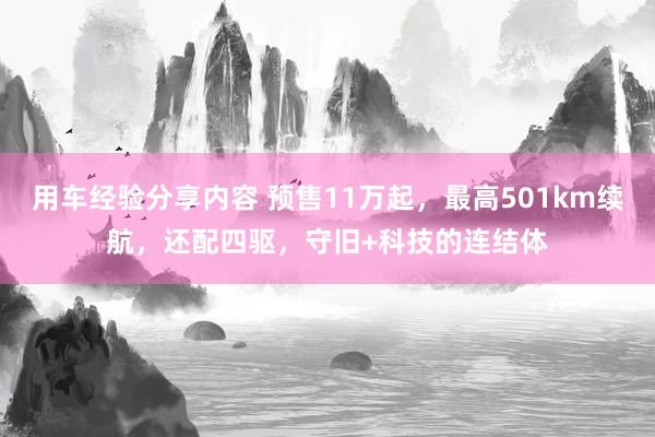 用车经验分享内容 预售11万起，最高501km续航，还配四驱，守旧+科技的连结体