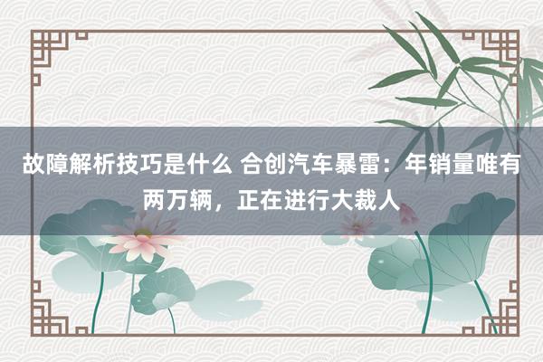 故障解析技巧是什么 合创汽车暴雷：年销量唯有两万辆，正在进行大裁人