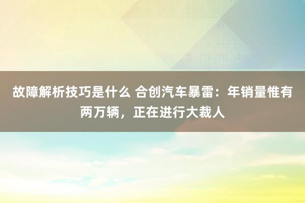 故障解析技巧是什么 合创汽车暴雷：年销量惟有两万辆，正在进行大裁人