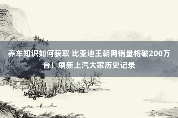 养车知识如何获取 比亚迪王朝网销量将破200万台！刷新上汽大家历史记录