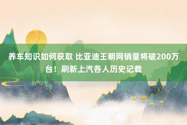 养车知识如何获取 比亚迪王朝网销量将破200万台！刷新上汽各人历史记载