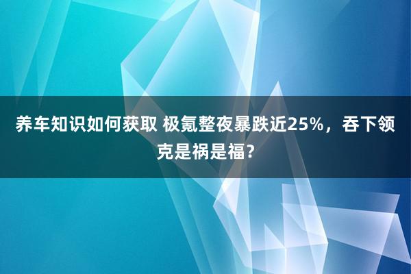 养车知识如何获取 极氪整夜暴跌近25%，吞下领克是祸是福？