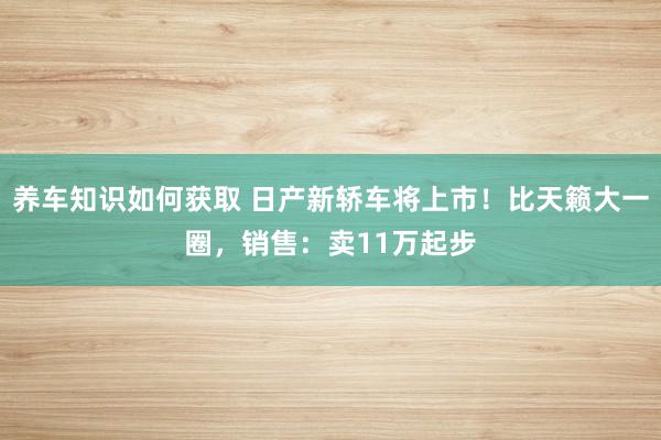 养车知识如何获取 日产新轿车将上市！比天籁大一圈，销售：卖11万起步