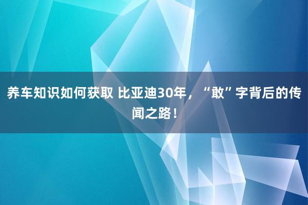 养车知识如何获取 比亚迪30年，“敢”字背后的传闻之路！