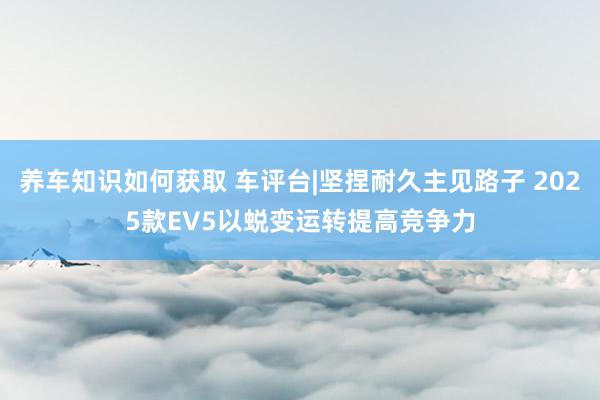 养车知识如何获取 车评台|坚捏耐久主见路子 2025款EV5以蜕变运转提高竞争力