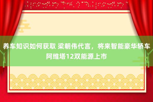 养车知识如何获取 梁朝伟代言，将来智能豪华轿车阿维塔12双能源上市