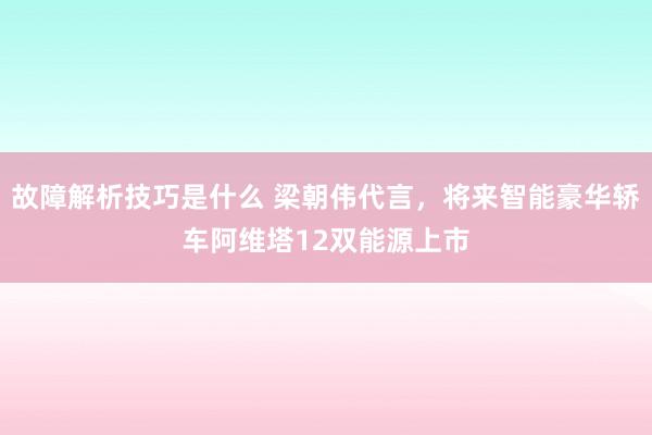 故障解析技巧是什么 梁朝伟代言，将来智能豪华轿车阿维塔12双能源上市