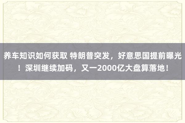 养车知识如何获取 特朗普突发，好意思国提前曝光！深圳继续加码，又一2000亿大盘算落地！