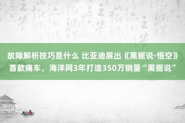 故障解析技巧是什么 比亚迪展出《黑据说·悟空》首款痛车，海洋网3年打造350万销量“黑据说”