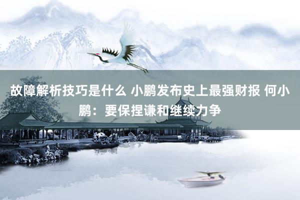 故障解析技巧是什么 小鹏发布史上最强财报 何小鹏：要保捏谦和继续力争