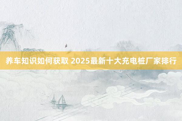 养车知识如何获取 2025最新十大充电桩厂家排行