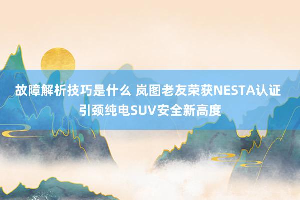 故障解析技巧是什么 岚图老友荣获NESTA认证 引颈纯电SUV安全新高度