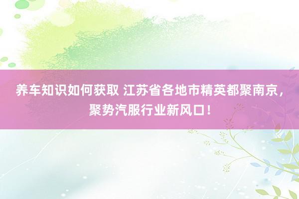 养车知识如何获取 江苏省各地市精英都聚南京，聚势汽服行业新风口！