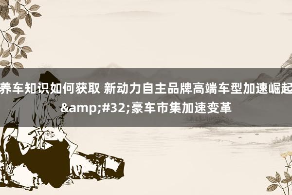 养车知识如何获取 新动力自主品牌高端车型加速崛起&#32;豪车市集加速变革