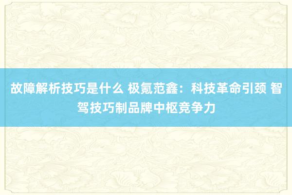 故障解析技巧是什么 极氪范鑫：科技革命引颈 智驾技巧制品牌中枢竞争力