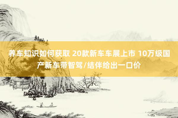 养车知识如何获取 20款新车车展上市 10万级国产新车带智驾/结伴给出一口价