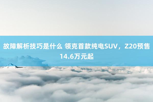 故障解析技巧是什么 领克首款纯电SUV，Z20预售14.6万元起