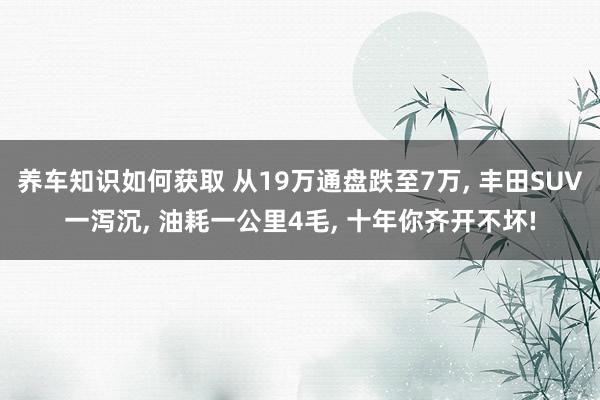 养车知识如何获取 从19万通盘跌至7万, 丰田SUV一泻沉, 油耗一公里4毛, 十年你齐开不坏!