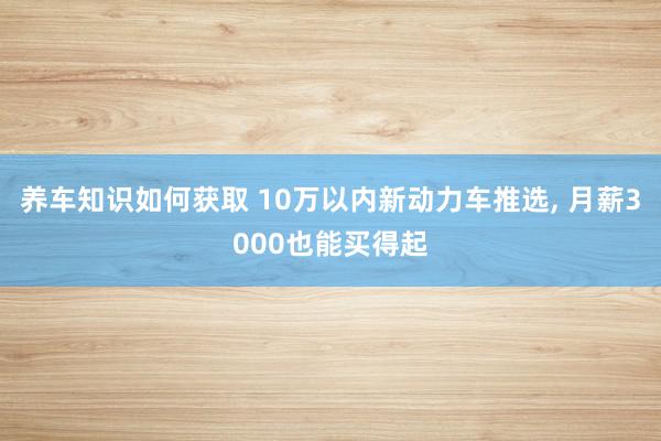 养车知识如何获取 10万以内新动力车推选, 月薪3000也能买得起