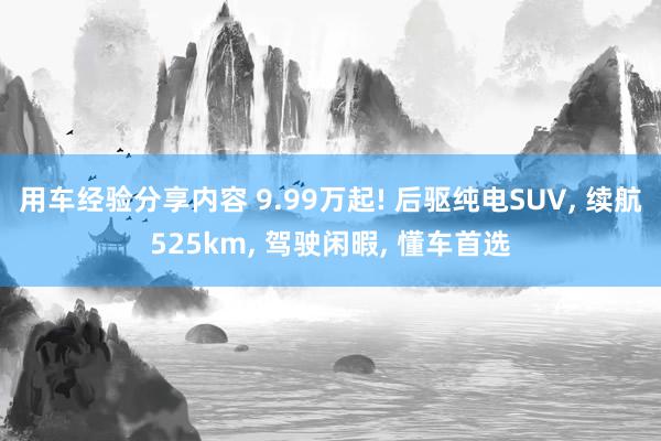 用车经验分享内容 9.99万起! 后驱纯电SUV, 续航525km, 驾驶闲暇, 懂车首选