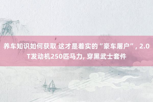 养车知识如何获取 这才是着实的“豪车屠户”, 2.0T发动机250匹马力, 穿黑武士套件