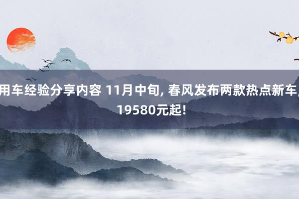 用车经验分享内容 11月中旬, 春风发布两款热点新车, 19580元起!