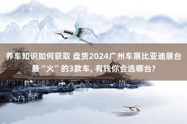 养车知识如何获取 盘货2024广州车展比亚迪展台最“火”的3款车, 有钱你会选哪台?