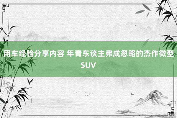 用车经验分享内容 年青东谈主弗成忽略的杰作微型SUV