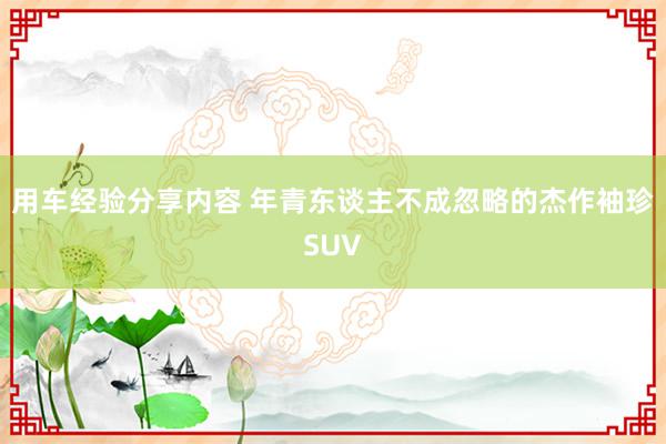 用车经验分享内容 年青东谈主不成忽略的杰作袖珍SUV