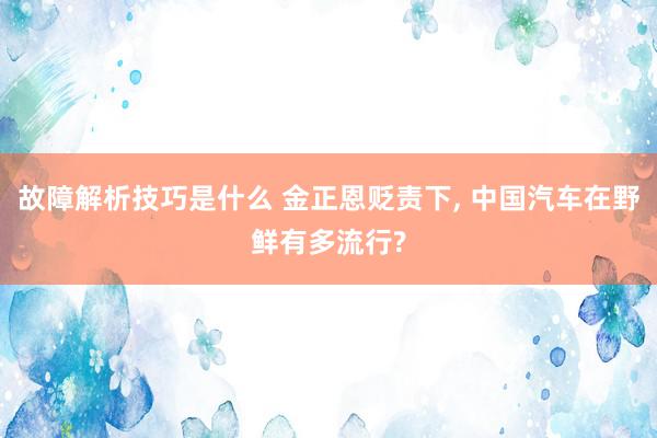 故障解析技巧是什么 金正恩贬责下, 中国汽车在野鲜有多流行?