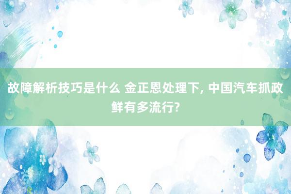 故障解析技巧是什么 金正恩处理下, 中国汽车抓政鲜有多流行?