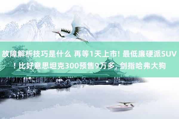 故障解析技巧是什么 再等1天上市! 最低廉硬派SUV! 比好意思坦克300预售9万多, 剑指哈弗大狗