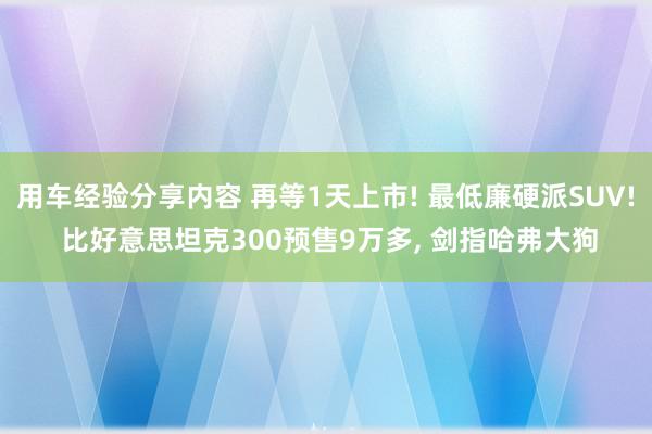 用车经验分享内容 再等1天上市! 最低廉硬派SUV! 比好意思坦克300预售9万多, 剑指哈弗大狗