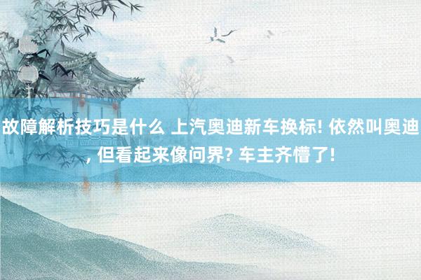 故障解析技巧是什么 上汽奥迪新车换标! 依然叫奥迪, 但看起来像问界? 车主齐懵了!