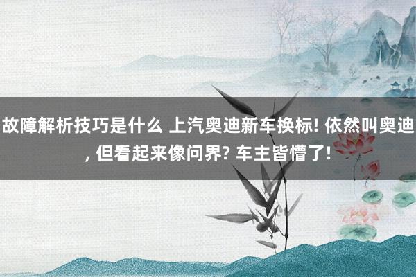 故障解析技巧是什么 上汽奥迪新车换标! 依然叫奥迪, 但看起来像问界? 车主皆懵了!