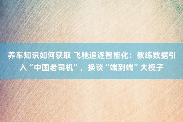 养车知识如何获取 飞驰追逐智能化：教练数据引入“中国老司机”，换谈“端到端”大模子