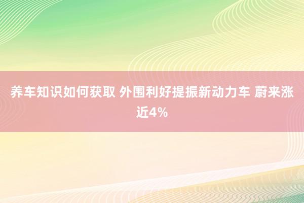 养车知识如何获取 外围利好提振新动力车 蔚来涨近4%