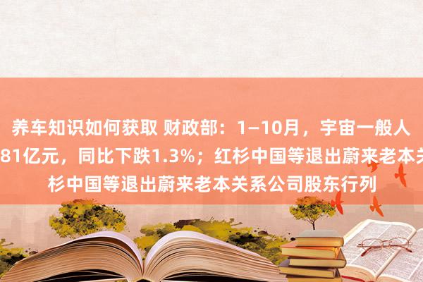 养车知识如何获取 财政部：1—10月，宇宙一般人人预算收入184981亿元，同比下跌1.3%；红杉中国等退出蔚来老本关系公司股东行列