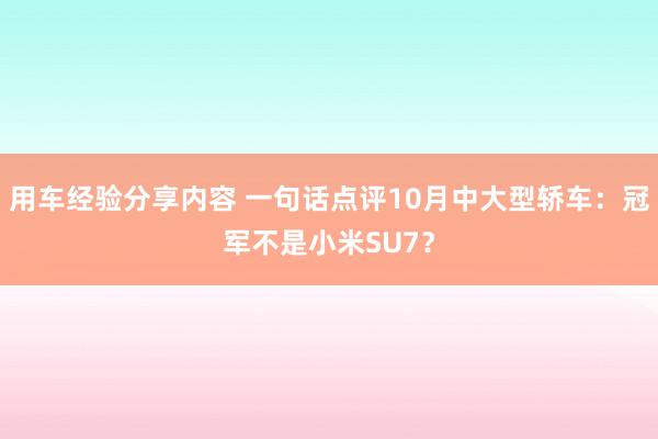 用车经验分享内容 一句话点评10月中大型轿车：冠军不是小米SU7？