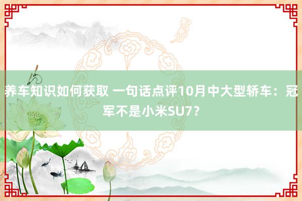 养车知识如何获取 一句话点评10月中大型轿车：冠军不是小米SU7？