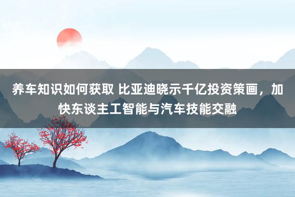 养车知识如何获取 比亚迪晓示千亿投资策画，加快东谈主工智能与汽车技能交融