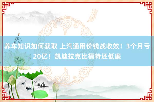 养车知识如何获取 上汽通用价钱战收效！3个月亏20亿！凯迪拉克比福特还低廉