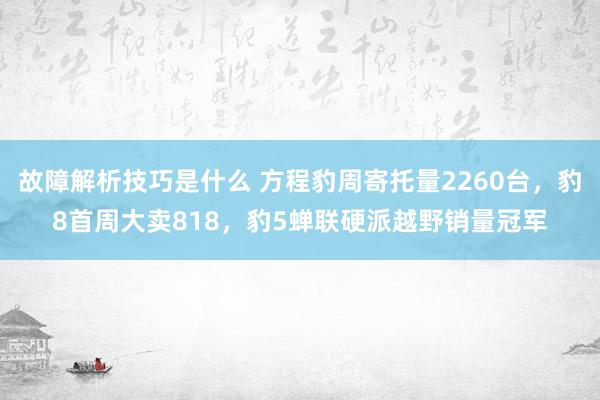 故障解析技巧是什么 方程豹周寄托量2260台，豹8首周大卖818，豹5蝉联硬派越野销量冠军