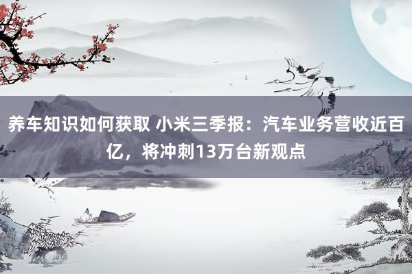 养车知识如何获取 小米三季报：汽车业务营收近百亿，将冲刺13万台新观点